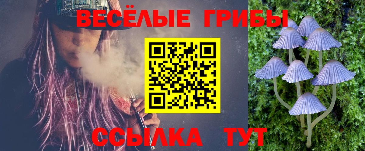 как найти наркотики  Вход с VPN  Саянск  Псилоцибиновые грибы прущие грибы 